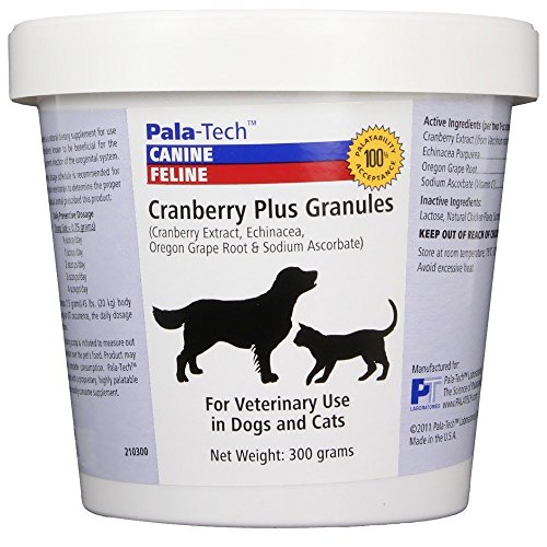 PalaTech Cranberry Plus Granules for Dogs - Supports Cat & Dog UTI Treatment - Helps Cat Urinary Tract Infection Treatment - Natural Cranberry Supplement for Dogs - 300g