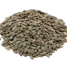 Lightly Sea Salted Pumpkin Seed Kernels by Gerbs - 4 LBS - Top 11 Food Allergen Free & Non GMO - Premium Dry Roasted Shelled Pepitas COG Mexico
