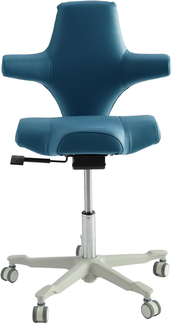 Ergonomic Desk Chair with Multi-Functional Sitting Posture, Executive Chairs for Home Office Comfortable Lumbar Support (Blue)
