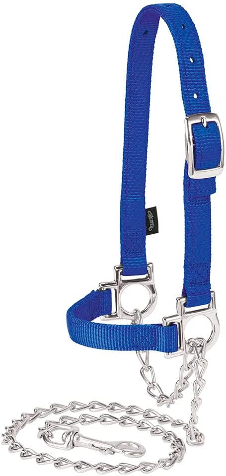 Weaver Leather Livestock Nylon Adjustable Sheep Halter with Chain Lead Blue, Average