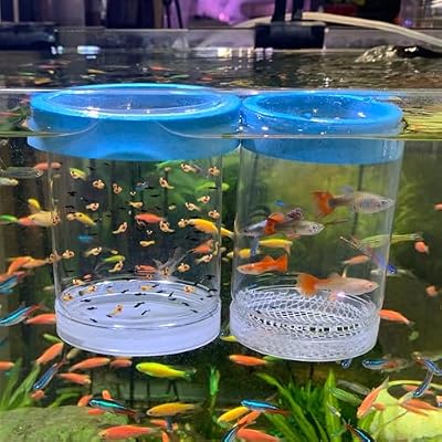 Fish Breeder Box for Fishes Tank Isolation Aquarium Separator Hatchery Incubator for Guppy Baby Betta Saltwater Clownfish Coral Aggressive or Injured Fish Large Two-Piece Set