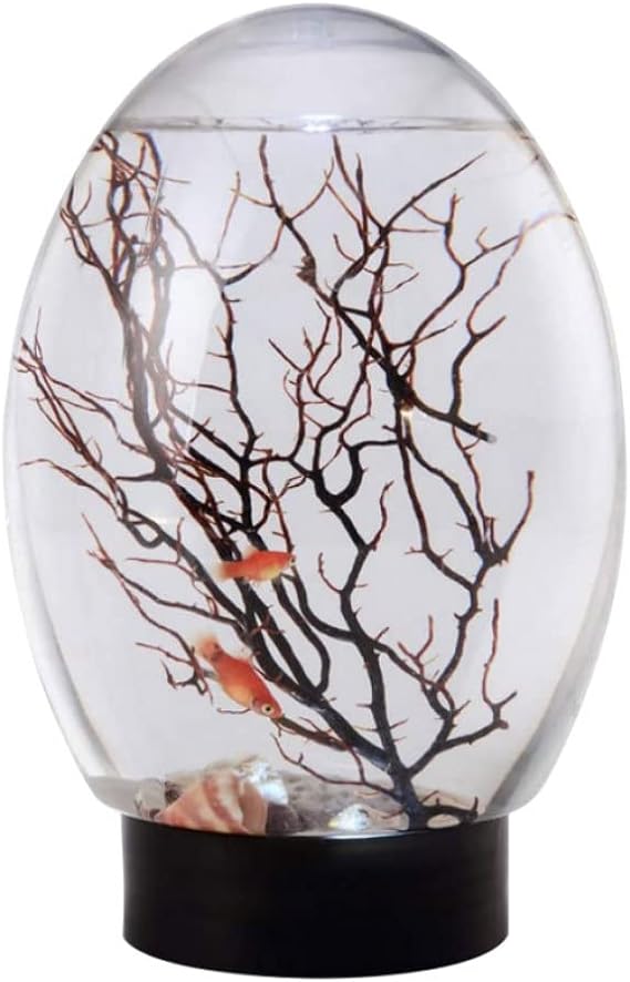 Biosphere Ecosystem,Mini Aquarium Fish Tank Ecosphere Closed Aquatic Ecosystem With Led Light Desktop Aquarium Stable Black Base No Need To Feed Or Change Water