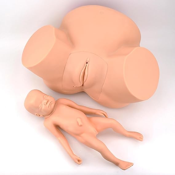 Birth Simulator, Demonstration Female Childbirth 1:1 Life Size Midwifery Training Manikin, Advanced Midwifery Training Model, Female Childbirth Simulator,for Teaching Practical Operation Training.
