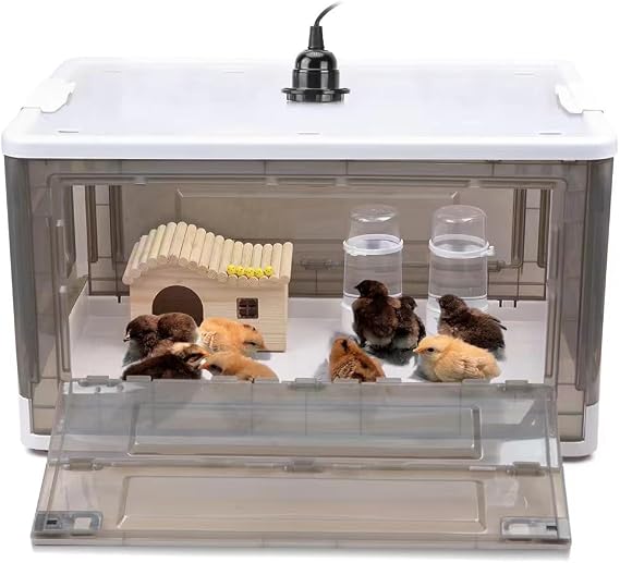 Chick Brooder,Brooder Box for Chicks,Brooder Heater Warms up to 15 Chicks (20x14x12)