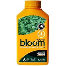Bloom Yellow Bottles Roots