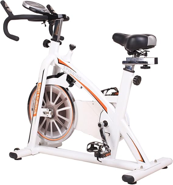 Spinning Bike Indoor Exercise Bike, Home Gym Magnetron Resistance Spin Bike, Fixed Bicycle With Adjustable Seat And Handle