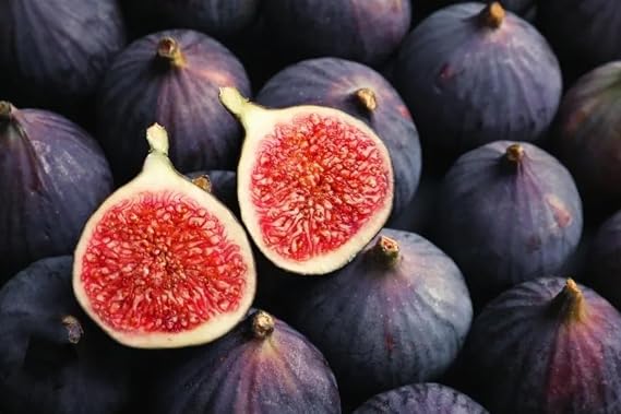300 Fig Tree Seeds Black Sweet Fruit Shrub Bonsai