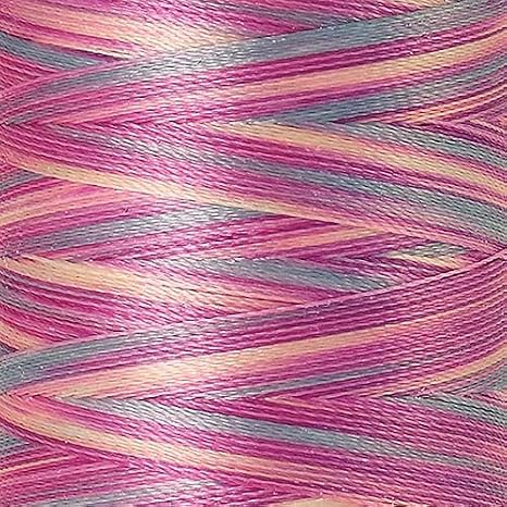 Polyester - Poly Sheen Thread - 40wt Embroidery & Decorative Sewing - 800m/ 875 Yards - Multi Colors (9912 - Plum Pourri)