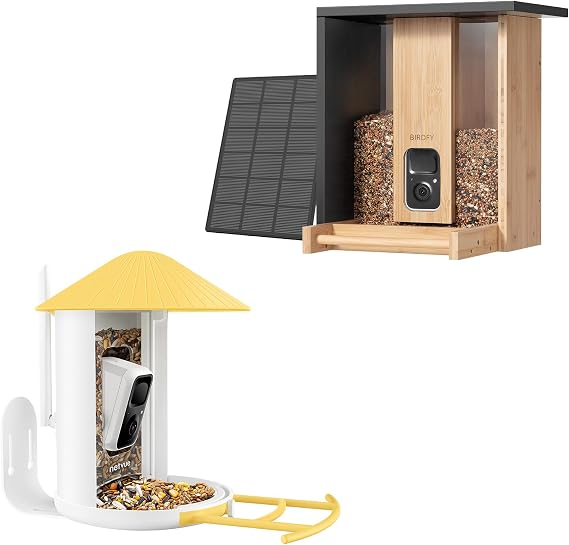 Birdfy Camera with Bamboo AI Bird Feeder Solar Camera
