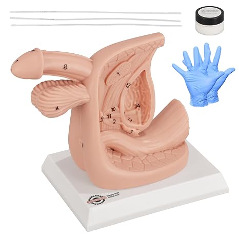 Wearable Wound Packing Arm Trainer