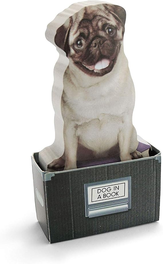 Mustard Sticky Post Notes Memo Pad - Dog In A Box