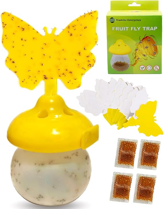 Fruit Fly Traps for Indoors - Sticky Traps for House Kitchen Flies Insect Bug Catcher Pest Control