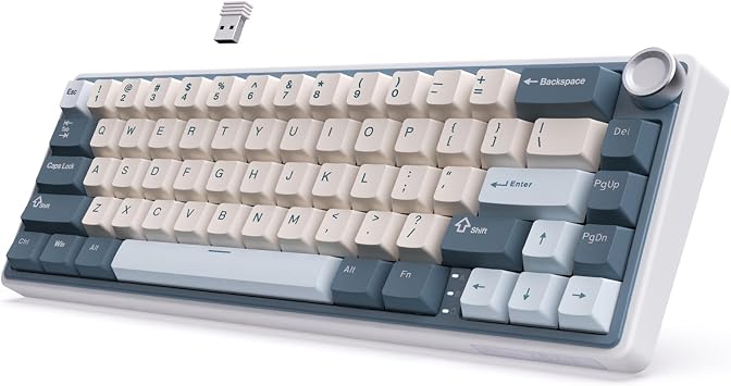 RK ROYAL KLUDGE R65 Wireless Mechanical Keyboard with Volume Knob, Tri-Mode 2.4GUSB-CBT Gasket Mounted 60% Gaming Keyboard with 66Keys, PBT Keycaps, QMKVIA, Hot Swappable Cream Switch, Blue