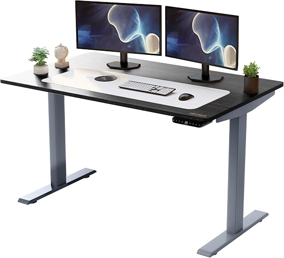 Rise Up Electric Standing Desk Adjustable Height 24-49" Dual Motor One Piece 60x30 Bamboo Large Standing Desk, Sit Stand Desk Rising Desk Home Office | A large sit stand desk with smooth motorized lift & 4 memory presets for 1-touch adjustments in any home office.