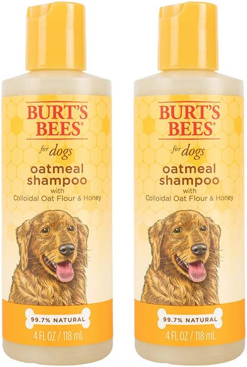 Burt's Bees for Pets for Dogs Natural Oatmeal Shampoo with Colloidal Oat Flour and Honey| Oatmeal Dog Shampoo, 4 Ounces - 2 Pack