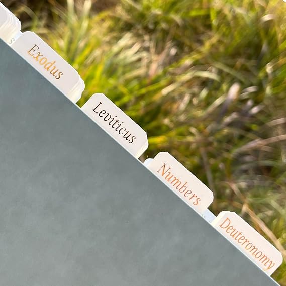 White Bible Tabs, Catholic Bible Tabs for Old and New Testament