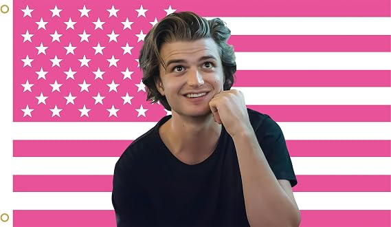 Steve Harrington Pink American Flag Tapestry, 3x5 Feet Polyester Wall Hanging with Brass Grommets, Horizontal Rectangular Design for Bedroom Studio Decor, Indoor Outdoor Usage 