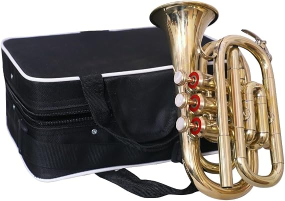 Sai Musicals Bb Pocket Trumpet Horn in Brass Finish with Mouthpiece & Carrying Hardcase, Practise Mute for Students & Advance Level, Perfect Cornet Gift For Birthday, Christmas (Gold)
