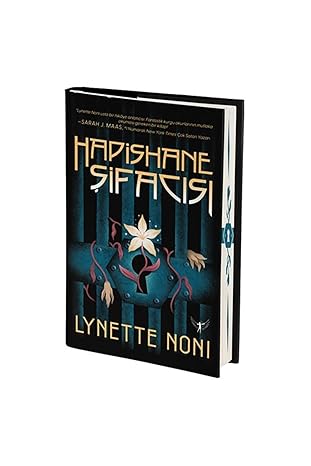 Prison Healer (Hardcover)