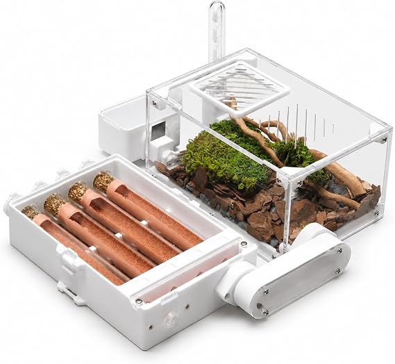 FoldStack Tube Series-G3 Foldable Ant Nest Four 18mm Test Tubes with Starter Kit and Decorative Landscape Kit