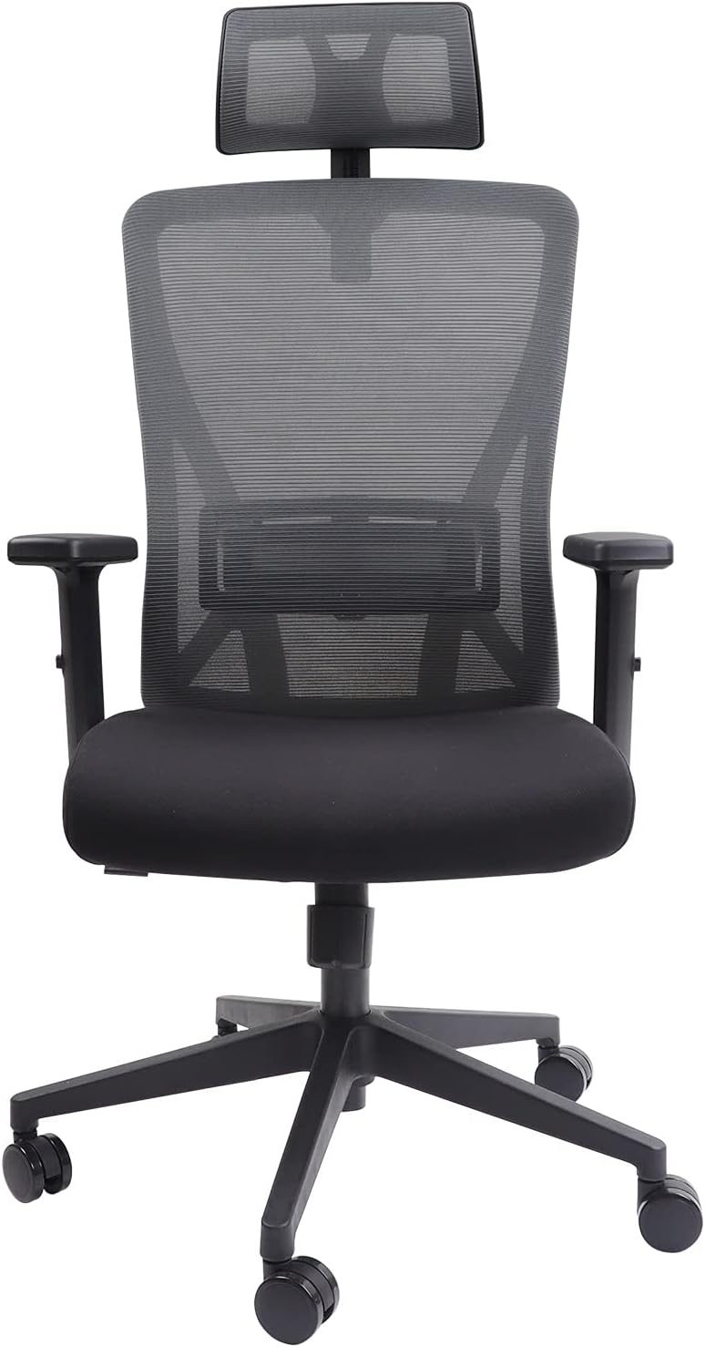 DRIPEX Ergonomic Office Chair, Adjustable Computer Chair, Reclining Desk Chair with 2D Headrest and Back Support for Office &amp; Home Gray
