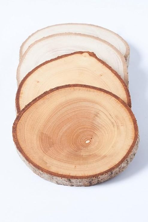 20 Oak & Olive Tree Slices 8cm - 6cm Rustic Wedding Decorations, Wooden Label Slices with Shells,