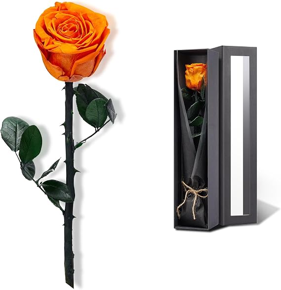 Orange Flowers for Delivery Prime, Preserved Orange Roses Flower Gifts for Women, Real Roses Single Rose Presents for Her, Mom Birthday Gifts from Daughter, Valentines Flowers