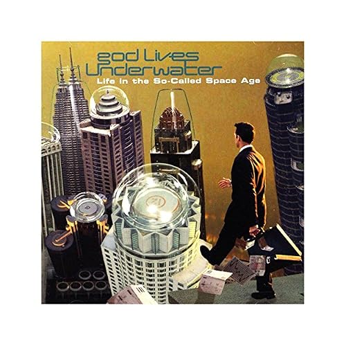 Life in the So-Called Space Age