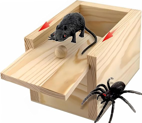 Large Spider Prank Box,2PCS Creepy Fake Bugs Inside Hilarious Gag Gift for Birthday Christmas Halloween & White Elephant Surprises
