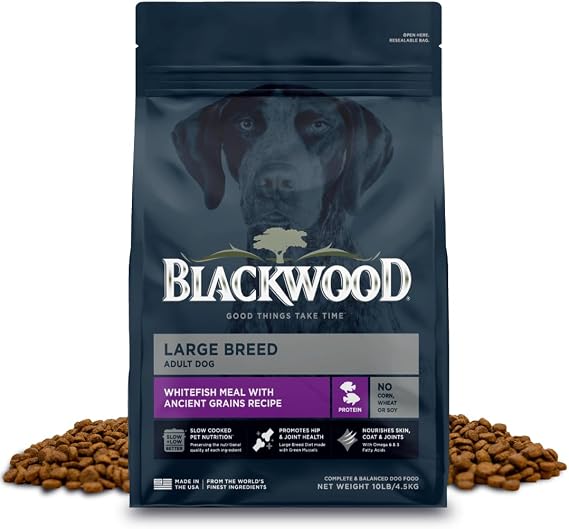 Blackwood Large Breed Premium Dry Dog Food, Whitefish & Ancient Grain 10 lb