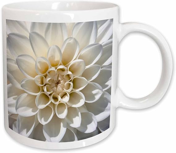 3dRose White dahlia flower blooming 11oz Mug