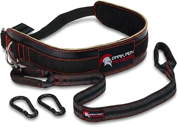 Dark Iron Fitness Dip Belt with Nylon Charging Loop for Additional Weights up to 122 kg - 100% Leather Weight Belt for Men Women Bodybuilding Gym Accessories