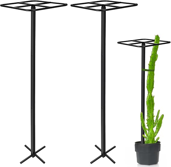 2 Pcs Heavy Duty Dragon Fruit Trellis 12"x12"x50", Adjustable Metal Dragon Plant Support Stand, Durable Vertical Trellis for Climbing Plants, No-Hammer Assembly for Outdoor Garden(Square)