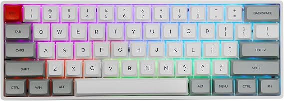 EPOMAKER SKYLOONG SK61 61 Keys 60% Hot Swappable Programmable Mechanical Gaming Wired Keyboard with RGB Backlit, NKRO, Water-Resistant, Type-C Cable for Win/Mac/Gaming (Gateron Optical Brown, Grey)
