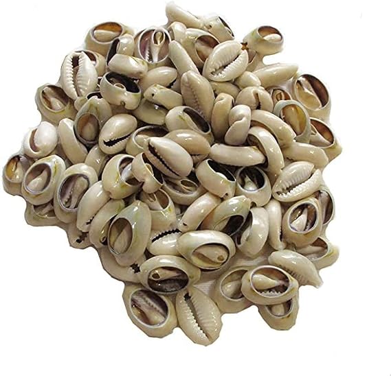 100 Pcs White and Lvory Natural Cowrie Shells Beads, Oval Beach Seashells African Shells for Hair Jewelry Making DIY Craft Beading Supplies ﻿