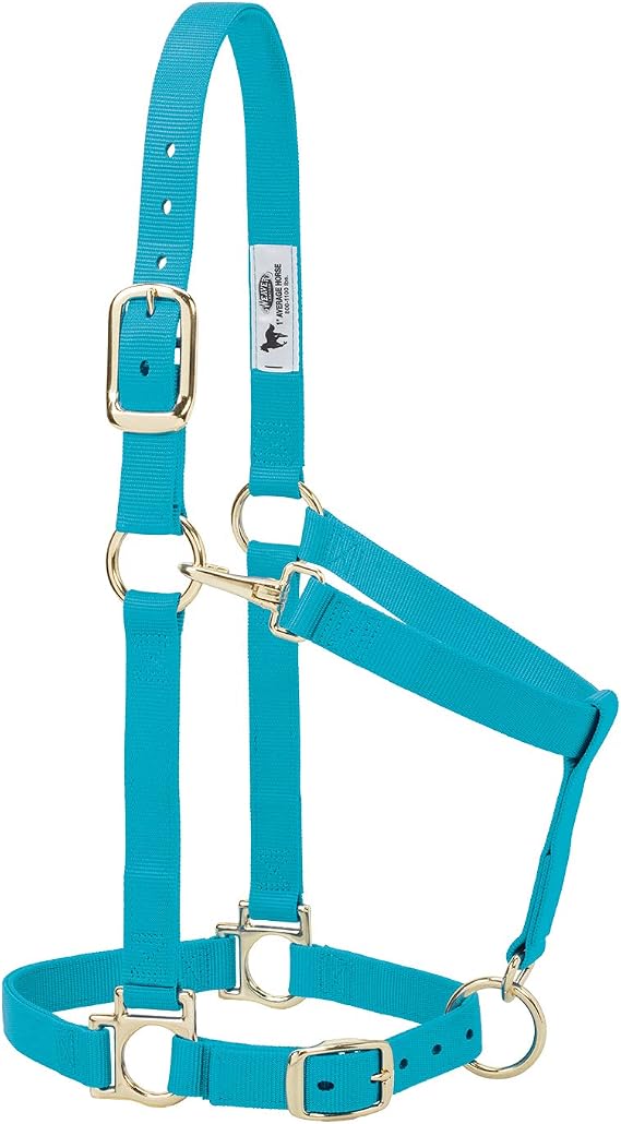 Weaver Equine Nylon Horse Halter, Average Horse, Padded & Adjustable, 1 in