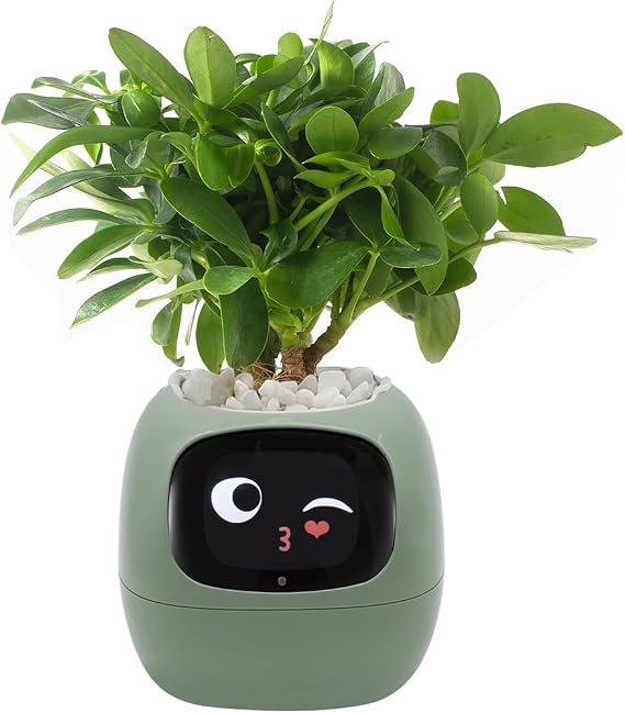 Smart Pet Planter, Smart Plant Pot, With Artificial Intelligence, Time Weather Display, And Multiple Expressions Animation,Lovely Plant Companion, For Desktop Decoration, Gifts,Plant-Free (Green)