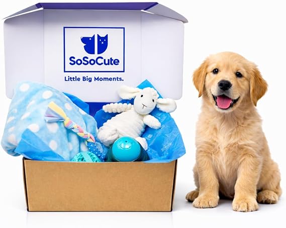 Puppy Starter Kit 5pc Dog Toy Gift Set for Small Dogs New Puppy Essentials Gift Box with Blanket, Squeaky Plush, Teething Ring, Treat Ball & Chew Ball (Blue)