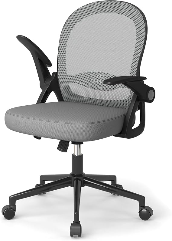 naspaluro Home Office Chair Ergonomic Desk Chair - Dark Grey