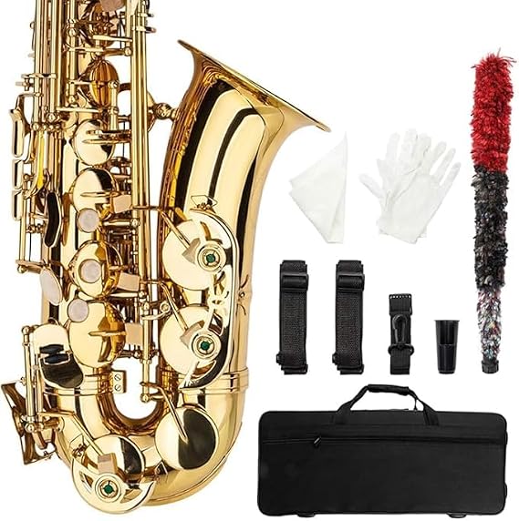 Vasitelan Alto Eb E-flat Saxophone Gold Lacquer SAX Beginners Kit with Case, Mouthpieces,Gloves,Aglet,Cleaning Cloth,Reed