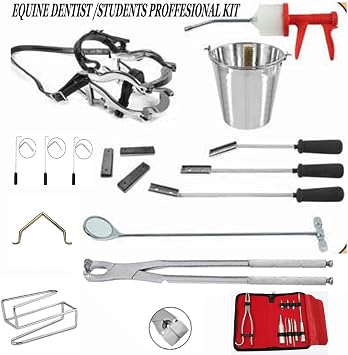 Equine Dental Kit Set Speculum, Forceps,Head Stand, Dental Picks, Syringe Equine