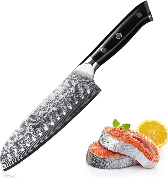 Damascus Santoku Knife for Kitchen - 7 Inch Extra Sharp Japanese Chef Knife with 67-layer Damascus Steel VG-10 Blade and Ergonomic G10 Glass Fiber Handle, Sliver