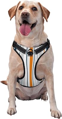 Blue Orange Gray Stripes Dog Harness,No-Pull Pet Harness with 2 Leash Clips,No Choke,Reflective,Adjustable Soft Padded Dog Vest for Small, Medium and Large Dogs S