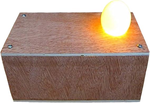 Egg Candler Tester Plans - Build Your Own Ovoscope for Hatching Eggs