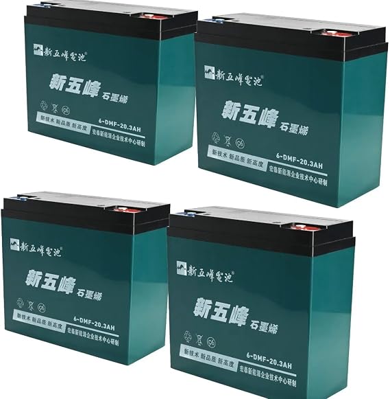 12V 20Ah SLA Battery 6-DMF-20 Rechargeable AGM Deep Cycle Battery for Electric Scooter Go Kart ATV(4 Pack)