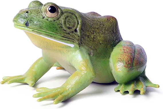 SCAHOW Plastic Frog Toys for Kids, Rainforest Animals Figures, Rubber Bullfrog Figurine, Forest Woodland Animals Toys, Frog Decor Party Favor Garden Flowerpot Decoration (Green)
