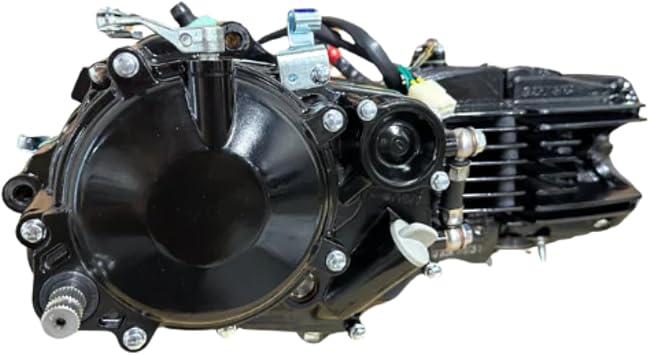 DAYTONA Anima 190cc Engine Model (FS5) - Black