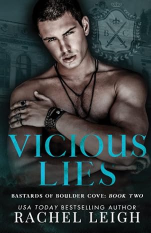 Vicious Lies: An Academy Romance (Bastards of Boulder Cove)