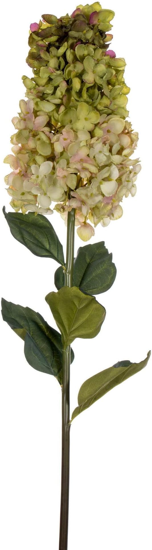 Vickerman 35.5" Light Green Artificial Cone Hydrangea Spray, 2 per Bag.