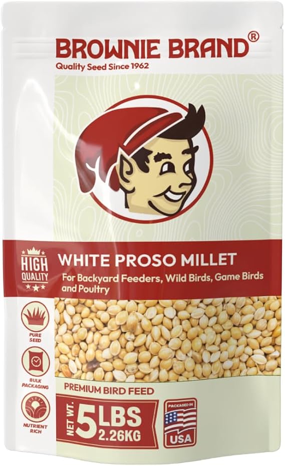BROWNIE Brand White Proso Millet Bird Feed for Bird Feeder | Premium Wild Bird Food for Sparrows, Finches, and Doves | High-Energy, Non-GMO, All-Season Feed for Feeders (5 Pound)
